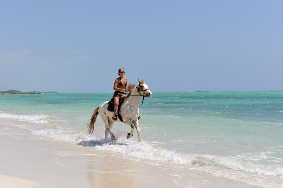 Beach Horseback Riding